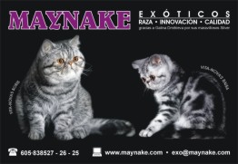 Card maynake 5