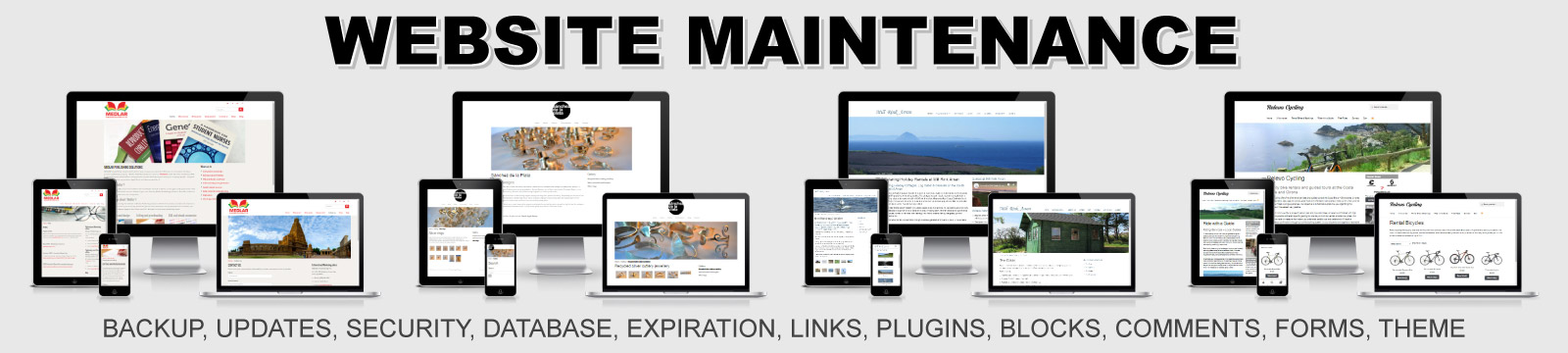 Danielmrey banner website maintenance responsive seo performance