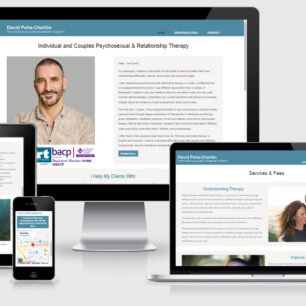 David responsive website