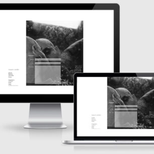 Desktop mobile mauro cocilio no responsive