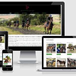 Desktop mobile rockingham reins