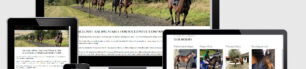 Desktop mobile rockingham reins
