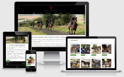 Horse Racing by Rockingham Reins