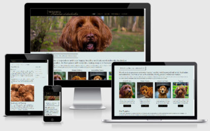 Dogs Puppies by Teddies Australian Labradoodles