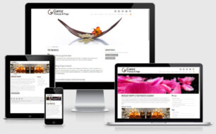 Spanish websites portfolio web